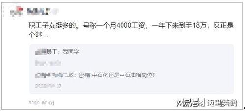 中石化最新爆料,行业变革背后的关键动态与战略布局 第1张 中石化最新爆料,行业变革背后的关键动态与战略布局 第1张