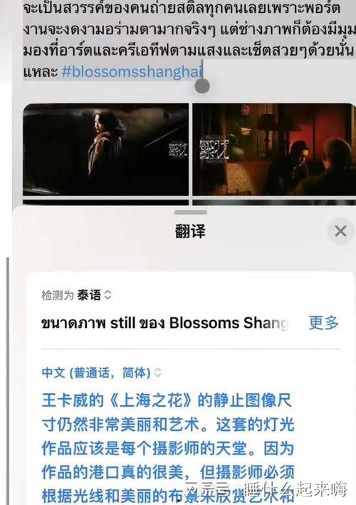 外网爆料魏继英视频,揭秘背后惊人真相 第1张 外网爆料魏继英视频,揭秘背后惊人真相 第1张