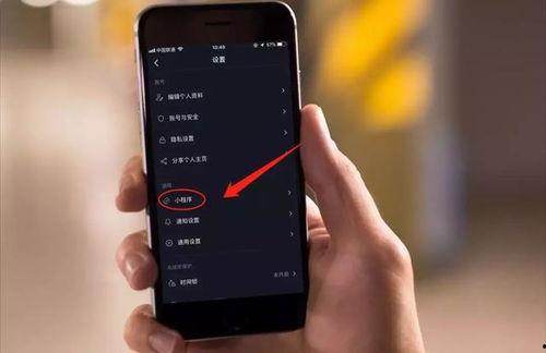 抖音爆料小程序短视频,短视频揭秘热门话题背后的真相 第1张 抖音爆料小程序短视频,短视频揭秘热门话题背后的真相 第1张