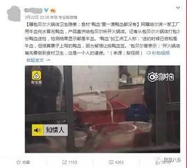 黄磊爆料蟑螂视频大全,惊悚瞬间大盘点 第1张 黄磊爆料蟑螂视频大全,惊悚瞬间大盘点 第1张