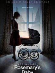 魔鬼圣婴在线观看,在线揭秘神秘家族的黑暗秘密 第1张 魔鬼圣婴在线观看,在线揭秘神秘家族的黑暗秘密 第1张