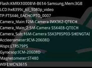 最新全面爆料视频下载,下载背后的秘密与最新动态 第1张 最新全面爆料视频下载,下载背后的秘密与最新动态 第1张